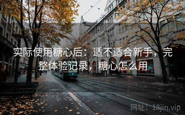 实际使用糖心后：适不适合新手，完整体验记录，糖心怎么用