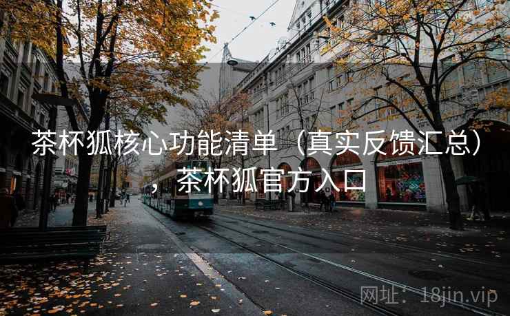 茶杯狐核心功能清单（真实反馈汇总），茶杯狐官方入口