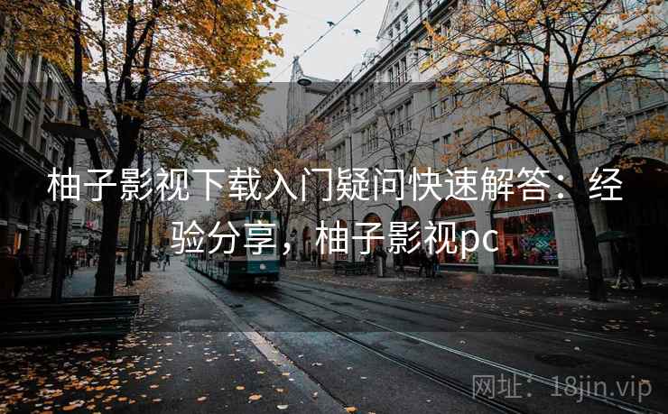 柚子影视下载入门疑问快速解答：经验分享，柚子影视pc