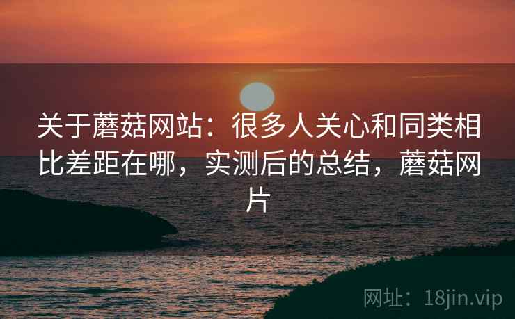 关于蘑菇网站：很多人关心和同类相比差距在哪，实测后的总结，蘑菇网片